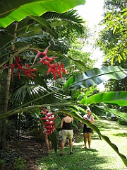 006 Jardin Botanique